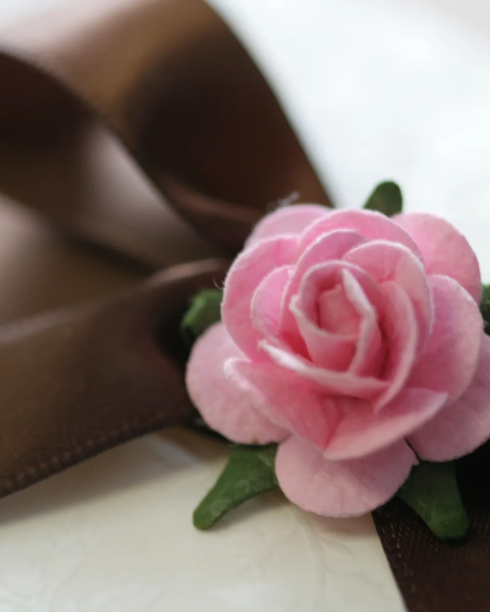 Symbolbild: Geschenkband mit Papierrose